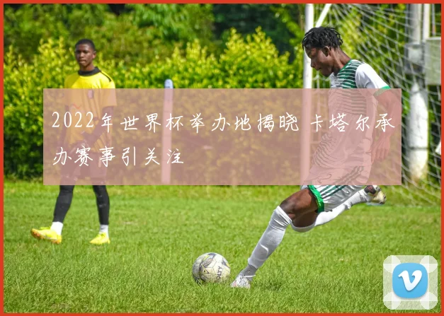 2022年世界杯举办地揭晓 卡塔尔承办赛事引关注