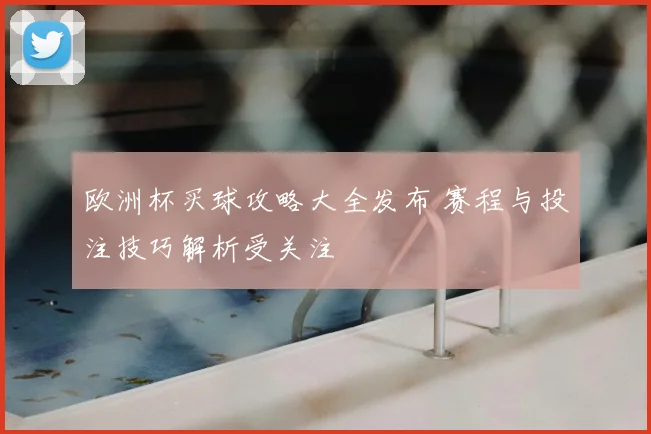 欧洲杯买球攻略大全发布 赛程与投注技巧解析受关注